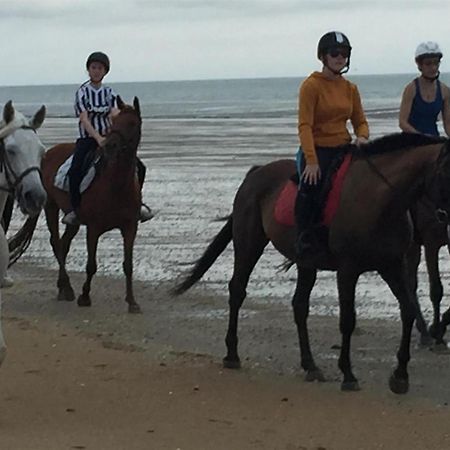 Decouverte D'Un Haras Proche Du Mont St Michel Hambye Eksteriør billede