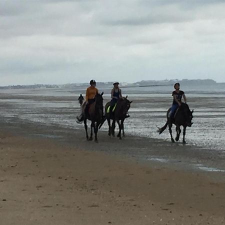 Decouverte D'Un Haras Proche Du Mont St Michel Hambye Eksteriør billede