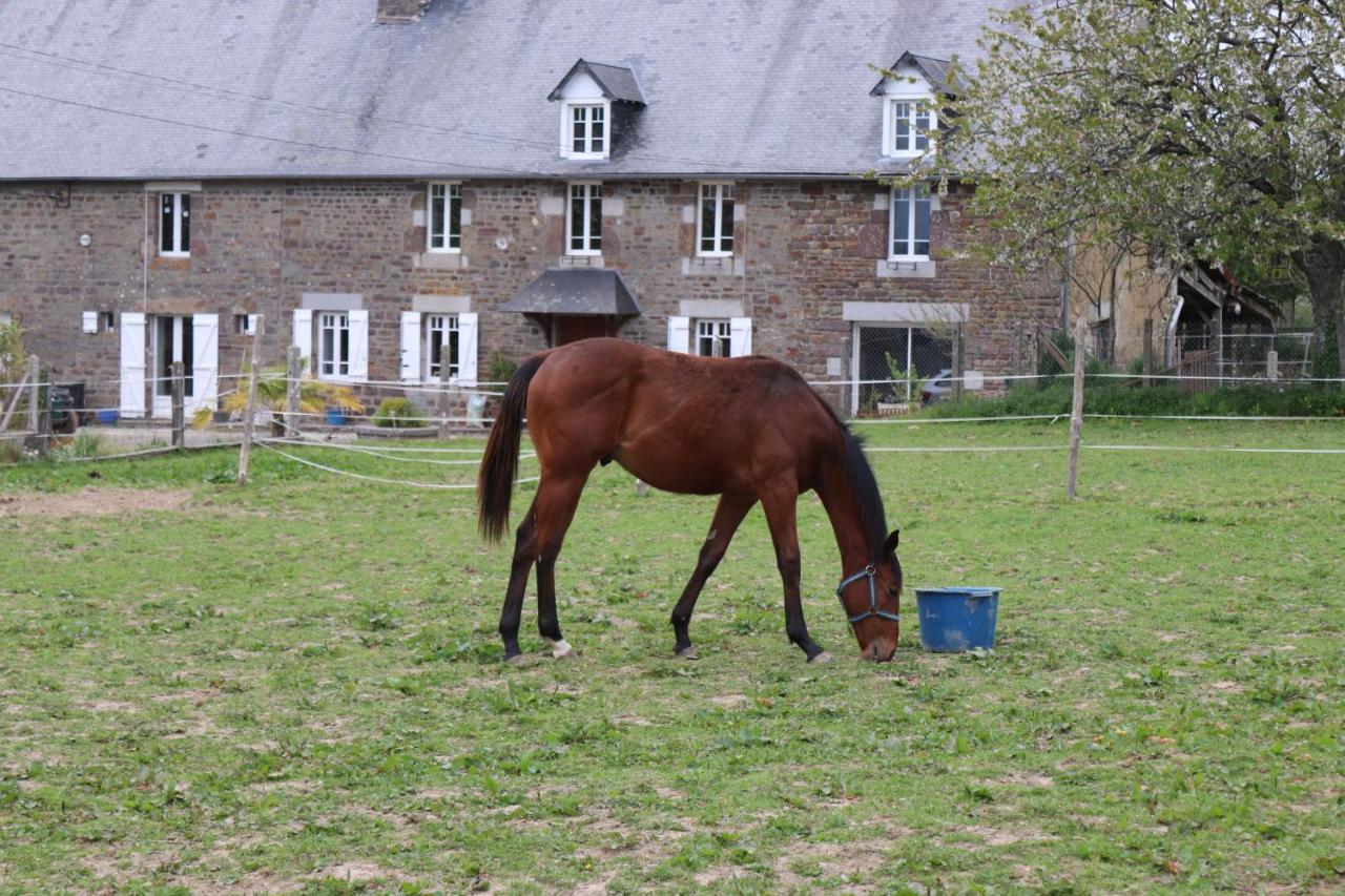 Decouverte D'Un Haras Proche Du Mont St Michel Hambye Eksteriør billede