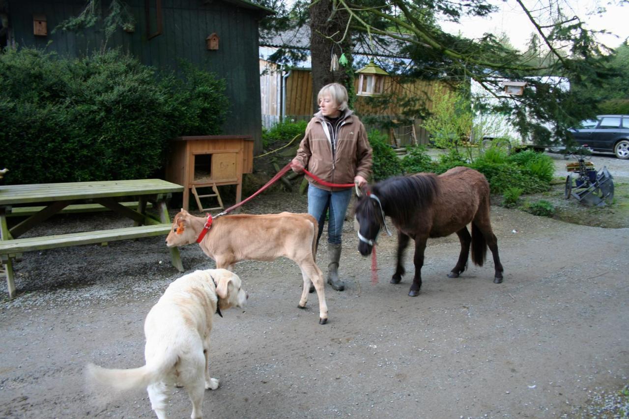 Decouverte D'Un Haras Proche Du Mont St Michel Hambye Eksteriør billede