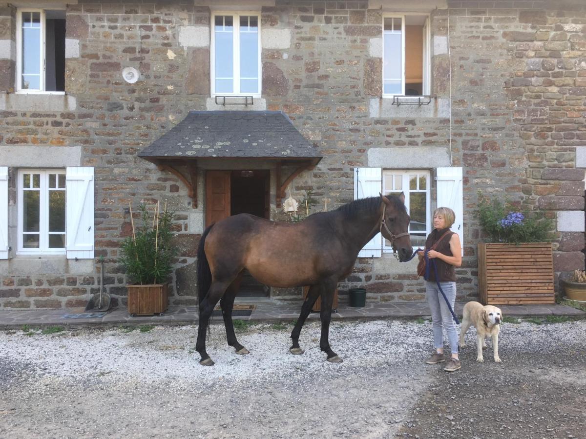 Decouverte D'Un Haras Proche Du Mont St Michel Hambye Eksteriør billede