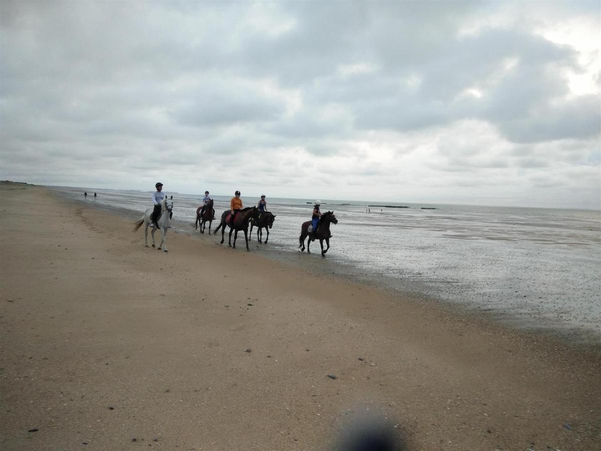 Decouverte D'Un Haras Proche Du Mont St Michel Hambye Eksteriør billede