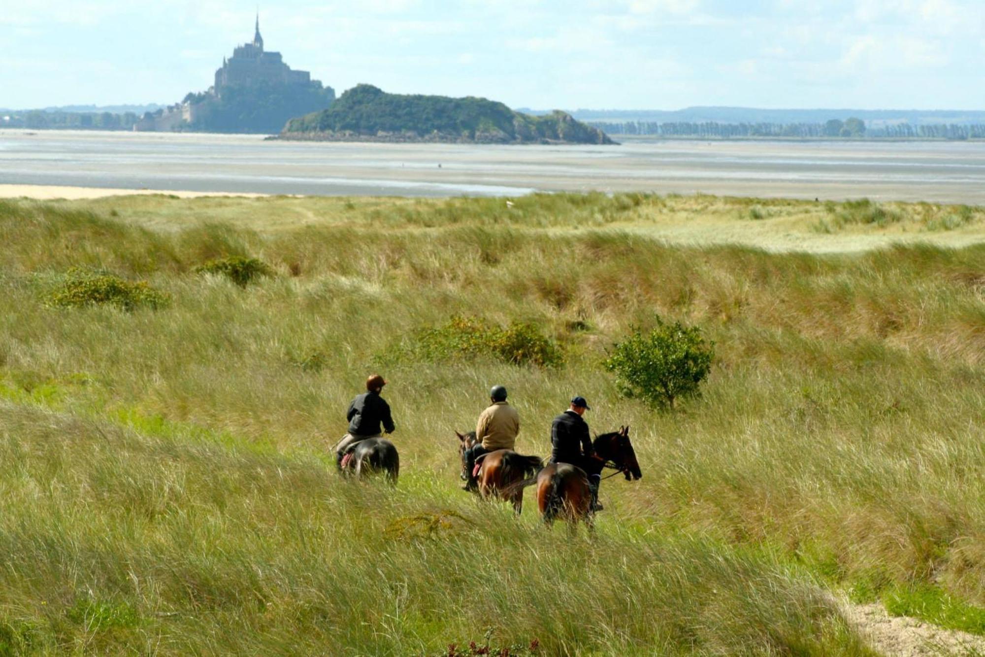 Decouverte D'Un Haras Proche Du Mont St Michel Hambye Eksteriør billede
