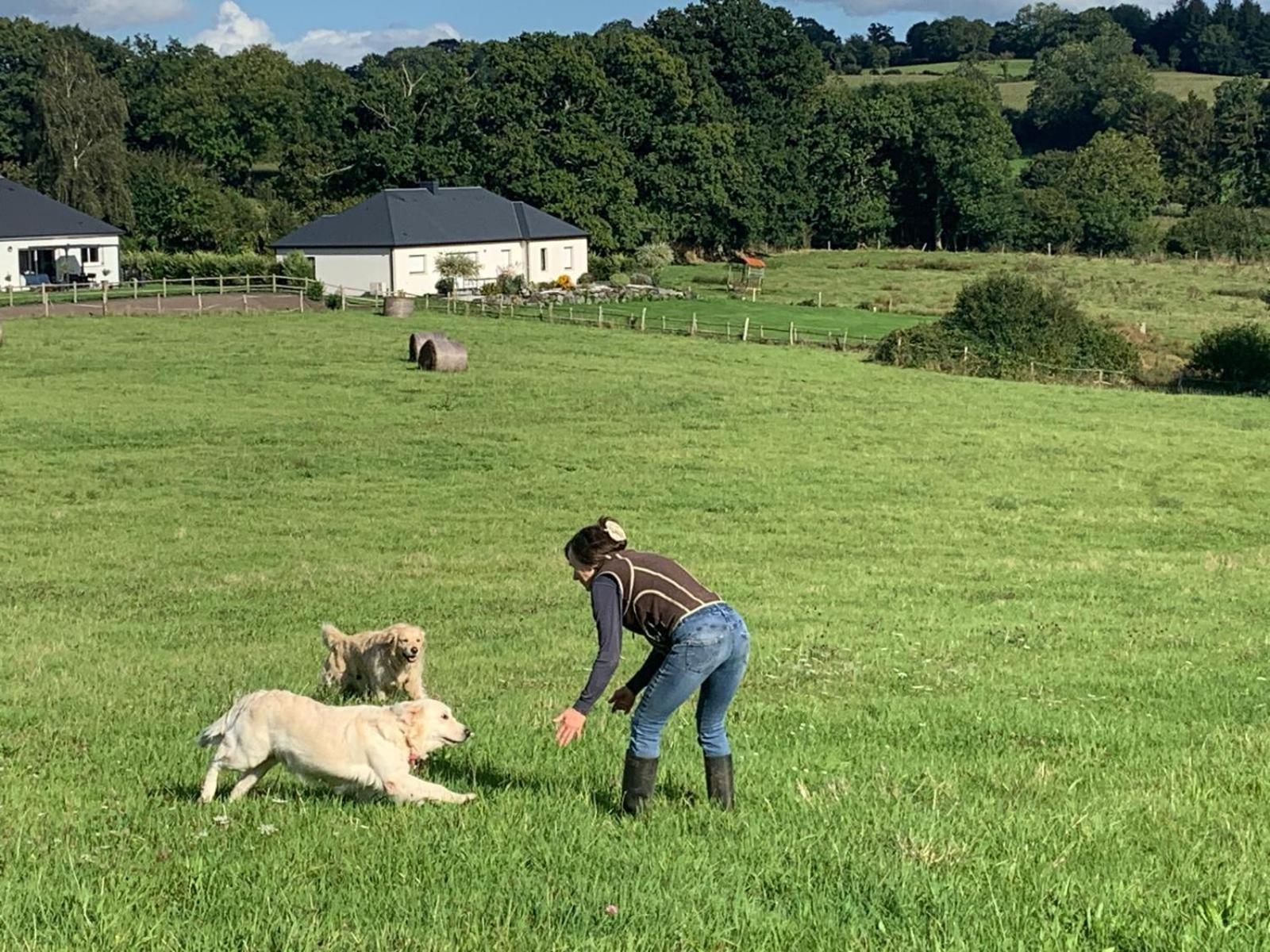 Decouverte D'Un Haras Proche Du Mont St Michel Hambye Eksteriør billede
